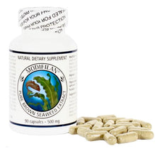 Load image into Gallery viewer, Natural Dietary Supplement Modifilan Pure Brown Seaweed Extract 90 Capsules